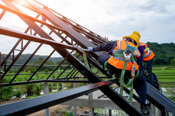 Roof Installation Near Me in Hillsboro, WI