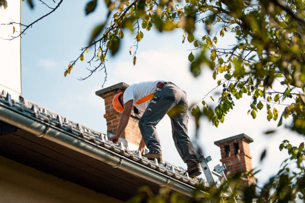 Slate Roofing Contractor in Hillsboro, WI