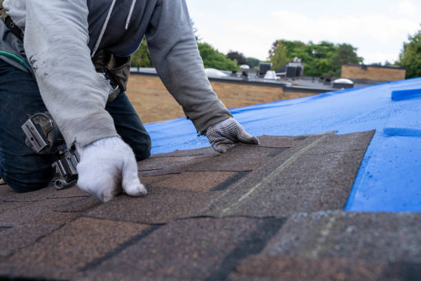 Best Residential Roofing Contractor  in Hillsboro, WI