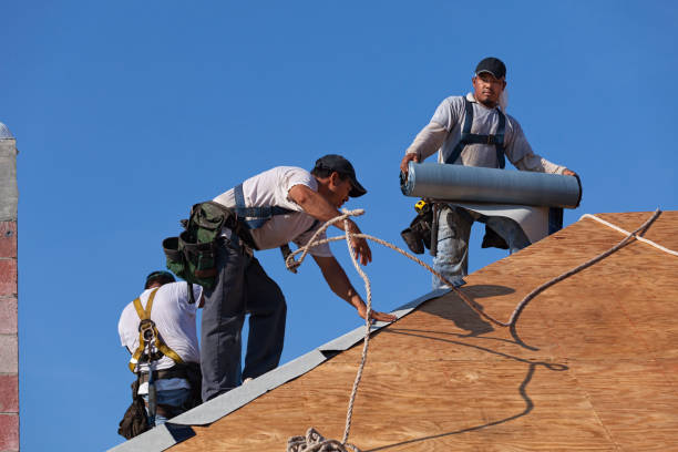 Best Metal Roofing Contractor  in Hillsboro, WI