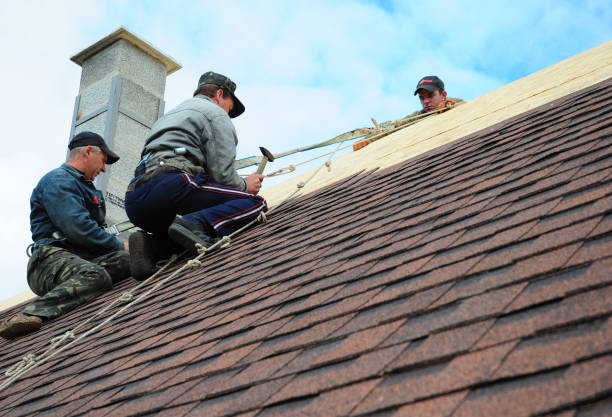 Quick and Trustworthy Emergency Roof Repair Services in Hillsboro, WI